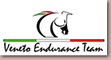 Sportendurance
